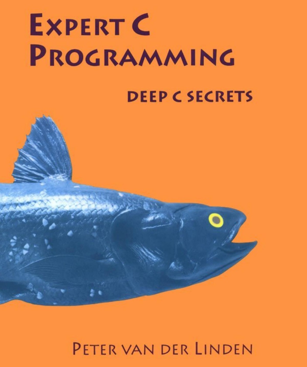 Expert C Programming: Deep C Secrets