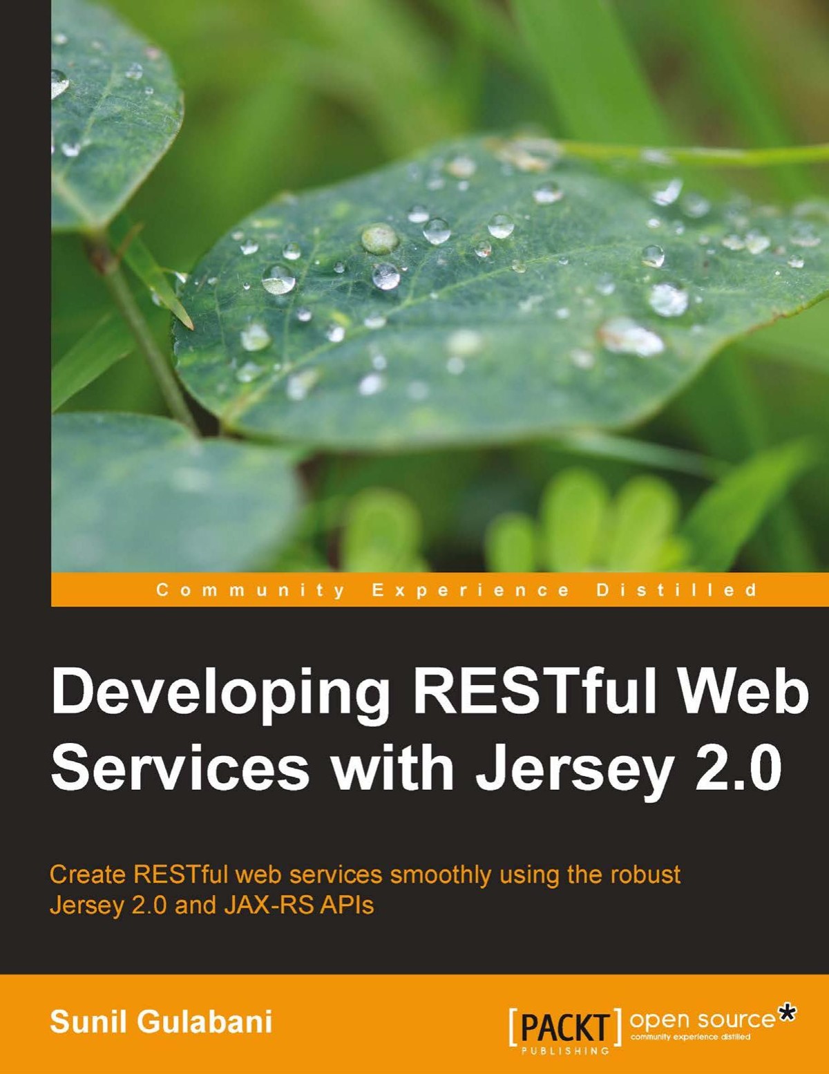 Developing RESTful Web Services With Jersey 2. 0